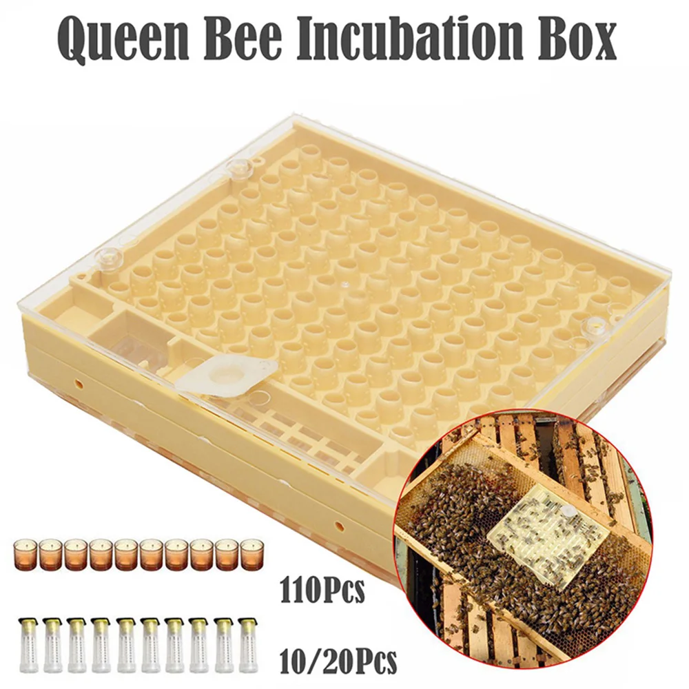 Complete Bee Queen Rearing Cup Kit System Beekeeping Catcher Box Productive Cells Catcher Cage Bees Tools Apiculture Box Set
Complete Bee Queen Rearing Cup Kit System Beekeeping Catcher Box Productive Cells Catcher Cage Bees Tools Apiculture Box Set