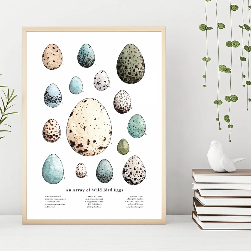 Canvas Pictures Home Decoration Wild Bird Eggs Abstract Painting Wall Art Prints Nordic Creative Poster Modular For Living Room
Canvas Pictures Home Decoration Wild Bird Eggs Abstract Painting Wall Art Prints Nordic Creative Poster Modular For Living Room