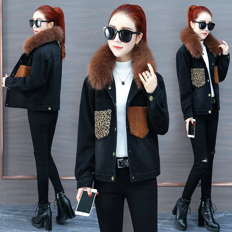 2018 New Style Winter Brushed And Thick Jeans Coat Women's Short Versatile Sheep Large Fur Collar Short Coat Cotton-padded Cloth
2018 New Style Winter Brushed And Thick Jeans Coat Women's Short Versatile Sheep Large Fur Collar Short Coat Cotton-padded Cloth