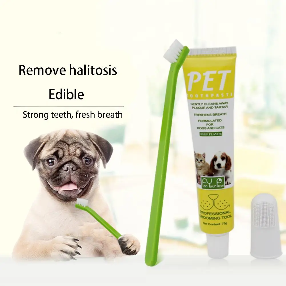Pet Dog Toothpaste Toothbrush Set Finger Toothbrush For Dog Fresh Tone Fangs Stone Tooth Cleaning Set Pet Dog Cleaning Products
Pet Dog Toothpaste Toothbrush Set Finger Toothbrush For Dog Fresh Tone Fangs Stone Tooth Cleaning Set Pet Dog Cleaning Products
