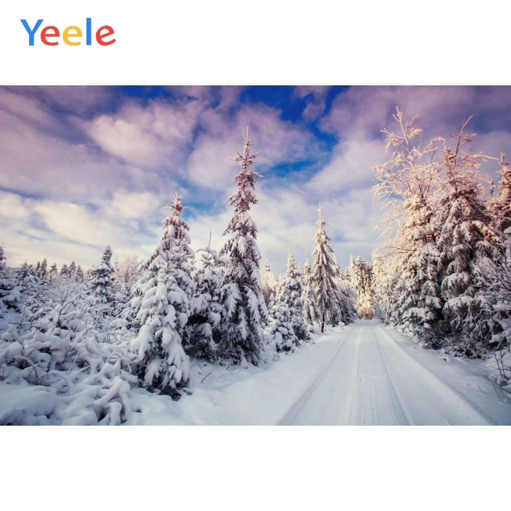 Winter Forest Sky Cloud Snow Road Baby Portrait Birthday Backdrop Photography Custom Photographic Background For Photo Studio
Winter Forest Sky Cloud Snow Road Baby Portrait Birthday Backdrop Photography Custom Photographic Background For Photo Studio