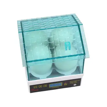 Manual Garden Egg Egg Incubator Egg Hatcher EU Plug Hatching Machine Eggs Contain Fully Automated
Manual Garden Egg Egg Incubator Egg Hatcher EU Plug Hatching Machine Eggs Contain Fully Automated