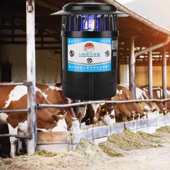 Photocatalyst Physical Ultraviolet Electronic Mosquito Insect Killer Light Chinese Plug 10A 250V
Photocatalyst Physical Ultraviolet Electronic Mosquito Insect Killer Light Chinese Plug 10A 250V