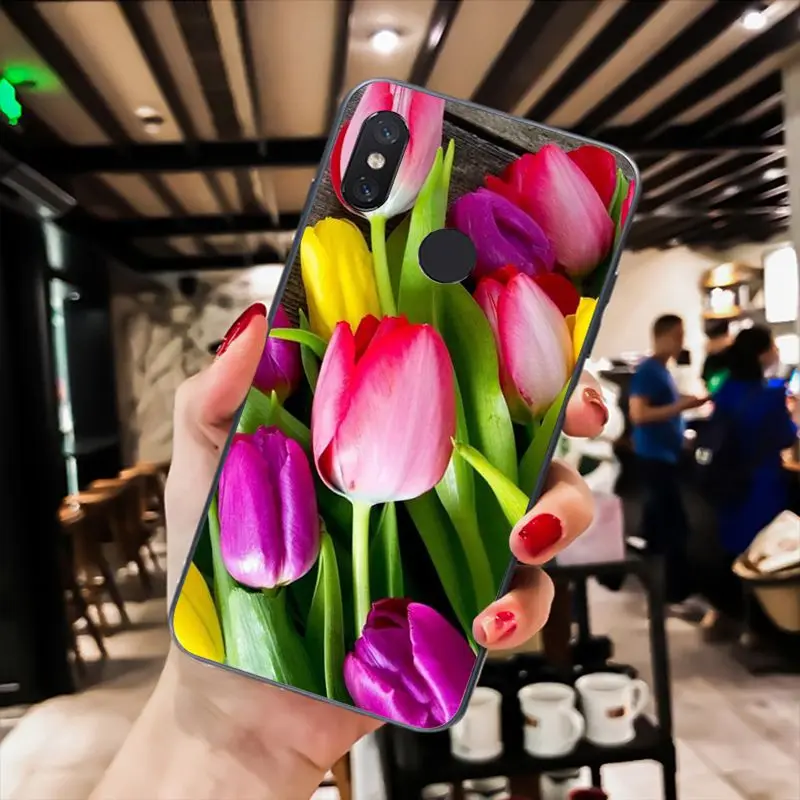Tulip flower