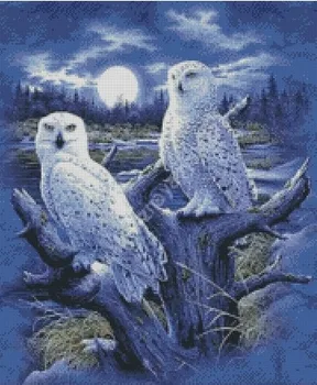 Top new Embroidery Counted Cross Stitch Kits Needlework Crafts 14 ct DMC DIY Arts Handmade Decor - Eagle
Top new Embroidery Counted Cross Stitch Kits Needlework Crafts 14 ct DMC DIY Arts Handmade Decor - Eagle