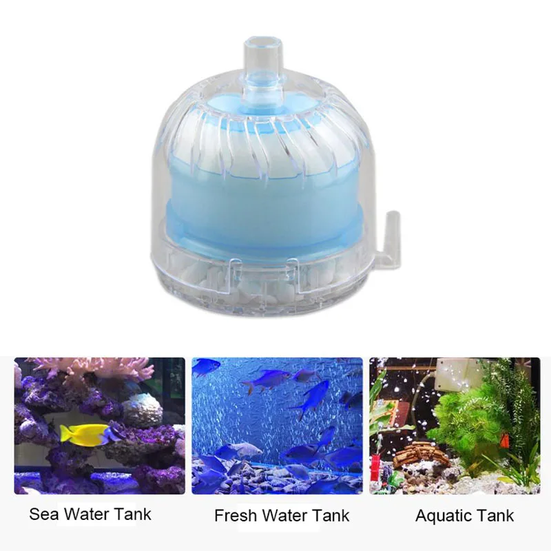 1pcs Transparent Biochemical Sponge Filter Aquarium Water biological Filter Aquarium Fish Tank Filter
1pcs Transparent Biochemical Sponge Filter Aquarium Water biological Filter Aquarium Fish Tank Filter