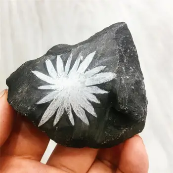 1pcs Natural chrysanthemum stone crystal hand carved black ore crystal shape beautiful gifts 
1pcs Natural chrysanthemum stone crystal hand carved black ore crystal shape beautiful gifts