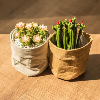 Mini Succulents Planter Pot Washable Kraft Paper Flowerpot Creative Desktop Flower Pots Reuseable Multifunction Home Storage Bag
Mini Succulents Planter Pot Washable Kraft Paper Flowerpot Creative Desktop Flower Pots Reuseable Multifunction Home Storage Bag