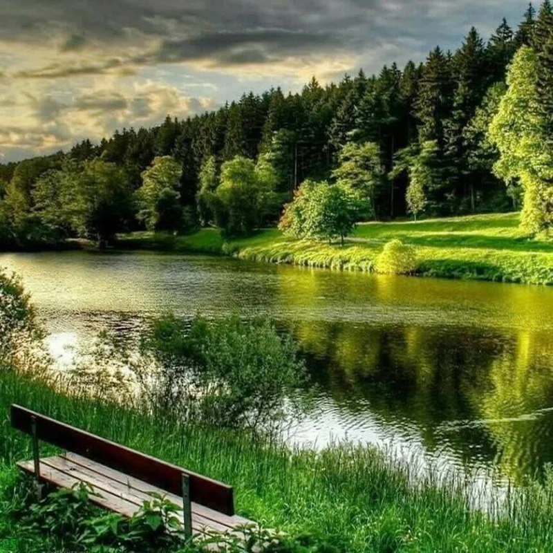 Fuyun 5D Diamond Painting Landscape Forest Full Round Diamond mosaic Sale Picture Rhinestone Diamond Embroidery Natural Scenery
Fuyun 5D Diamond Painting Landscape Forest Full Round Diamond mosaic Sale Picture Rhinestone Diamond Embroidery Natural Scenery
