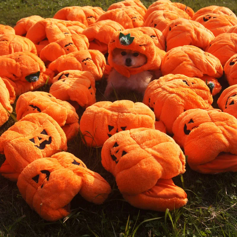 Funny Pet Dog Clothes Halloween Christmas Dog Party Cosplay Apparel Outfit Pumpkin Special Events Costume Autumn Winter Novelty
Funny Pet Dog Clothes Halloween Christmas Dog Party Cosplay Apparel Outfit Pumpkin Special Events Costume Autumn Winter Novelty