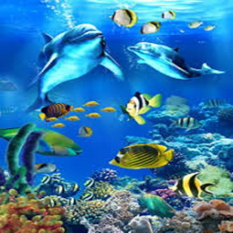 Ocean Painting Out By Number All For Animals On Canvas HandPainted For Drawing Color Picture To Paint By Number Home Decoration
Ocean Painting Out By Number All For Animals On Canvas HandPainted For Drawing Color Picture To Paint By Number Home Decoration