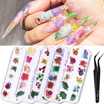 1 Box Colorful Dried Flower Nail Art Decorations Preserved Fresh Flower Tips DIY for Nail Art Decoration
1 Box Colorful Dried Flower Nail Art Decorations Preserved Fresh Flower Tips DIY for Nail Art Decoration