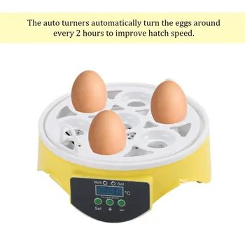 Mini 7 Eggs Capacity Chicken Eggs Bird Incubator Egg Rack Tray Automatic Intelligent Control Quail Incubation Tool EU Plug
Mini 7 Eggs Capacity Chicken Eggs Bird Incubator Egg Rack Tray Automatic Intelligent Control Quail Incubation Tool EU Plug