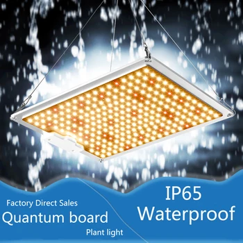 Quantum LED light LM301B 252Pcs chip full spectrum 240w Samsung 3000K with Meanwell driver
Quantum LED light LM301B 252Pcs chip full spectrum 240w Samsung 3000K with Meanwell driver