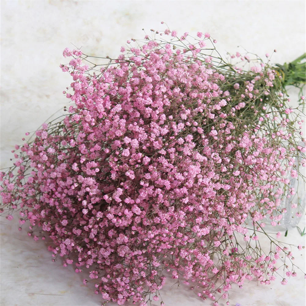 5 Colors real touch flowers for wedding bridal bouquet natural dried babies breath flowers bouquets reed pampas Grass
5 Colors real touch flowers for wedding bridal bouquet natural dried babies breath flowers bouquets reed pampas Grass