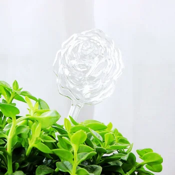 Creative Hand-made Glass Watering Device Round Ball Exquisite Watering Device Automatic Watering Flower Lazy Watering Device Hot
Creative Hand-made Glass Watering Device Round Ball Exquisite Watering Device Automatic Watering Flower Lazy Watering Device Hot