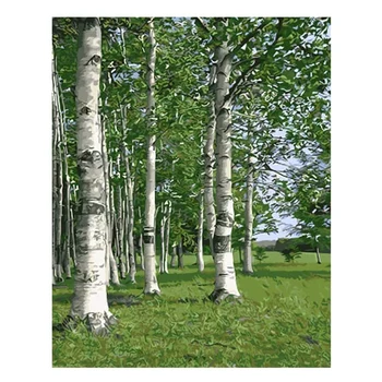 Paint By Numbers for Adults and Kids DIY Canvas Painting for Adults Beginner DIY Oil Paint- Without Frame(Birch)
Paint By Numbers for Adults and Kids DIY Canvas Painting for Adults Beginner DIY Oil Paint- Without Frame(Birch)