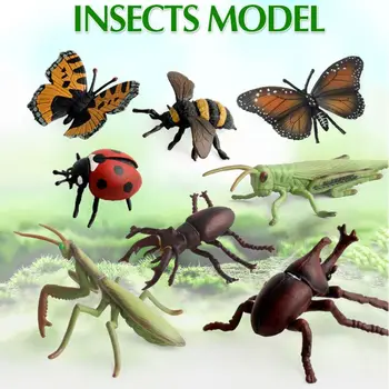 12Pcs/Lot Insect Models Figurines Kid Cognitive Animal Toys Early Education Toys 72XC
12Pcs/Lot Insect Models Figurines Kid Cognitive Animal Toys Early Education Toys 72XC