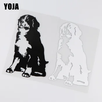 YOJA 11.2X18.8CM Bernese Mountain Dog Animal Car Sticker Bumper Decoration ZT4-0082
YOJA 11.2X18.8CM Bernese Mountain Dog Animal Car Sticker Bumper Decoration ZT4-0082