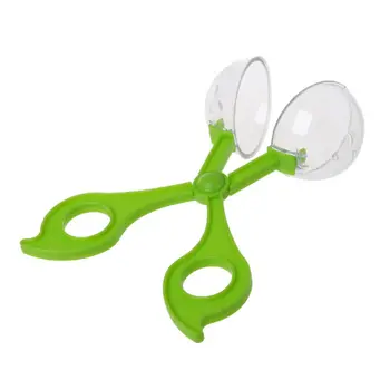 Plastic Bug Insect Catcher Scissors Tongs Tweezers For Kids Children Toy Handy Y1QB 
Plastic Bug Insect Catcher Scissors Tongs Tweezers For Kids Children Toy Handy Y1QB