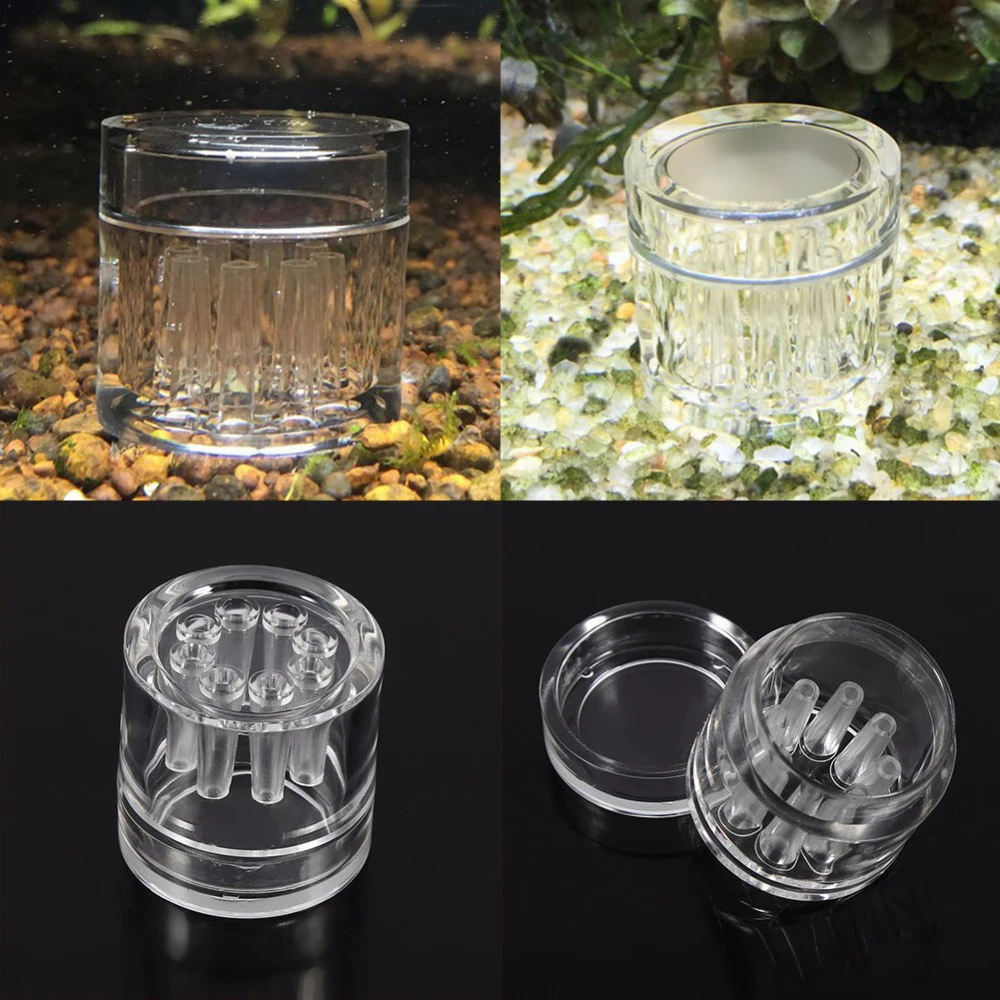 8 Hole Snail Trap Transparent Leech Pest Catch Pen Red Bee Shrimp Worm Bait Feeding Box Aquarium Cleaner Tool
8 Hole Snail Trap Transparent Leech Pest Catch Pen Red Bee Shrimp Worm Bait Feeding Box Aquarium Cleaner Tool
