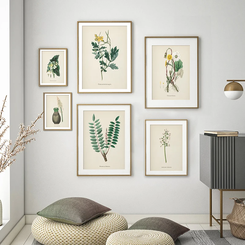 Scandinavian Style Plants Green Leaves Abstract Poster Nordic Canvas Print Wall Painting Modern Picture Living Room Decoration
Scandinavian Style Plants Green Leaves Abstract Poster Nordic Canvas Print Wall Painting Modern Picture Living Room Decoration