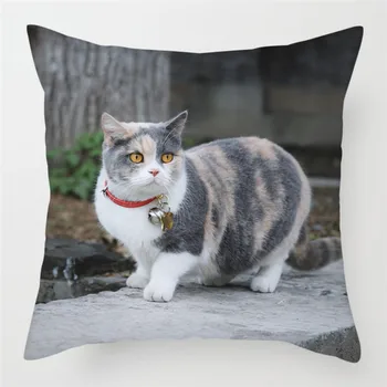 Nanacoba Cute Cat Pillow Cases Short plush Cushion Cover Pillow Cover For Sofa Home Chair Decoratives Throw Pillowcases
Nanacoba Cute Cat Pillow Cases Short plush Cushion Cover Pillow Cover For Sofa Home Chair Decoratives Throw Pillowcases