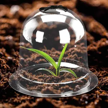 Garden Cloche Dome Plant Bell Protector Plant Protection Cover With Securing Nails Protective Cover For Vegetables Fruits Flower
Garden Cloche Dome Plant Bell Protector Plant Protection Cover With Securing Nails Protective Cover For Vegetables Fruits Flower