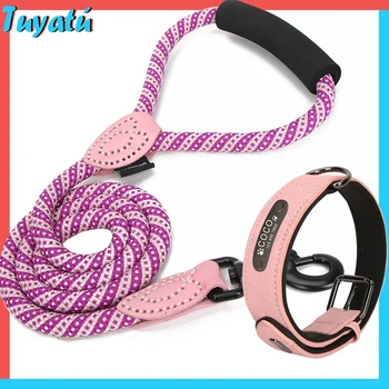 Personalized Dog Collar Leash Set Large Small Dogs Collars Leash with Sponge Handle Custom Engraved Collar Leash for Dog Pets 
Personalized Dog Collar Leash Set Large Small Dogs Collars Leash with Sponge Handle Custom Engraved Collar Leash for Dog Pets