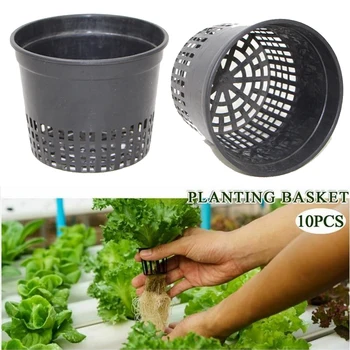 10Pcs Plastic Heavy Duty Mesh Pot Net Cup Basket Hydroponic Aeroponic Planter Basket Plant Pot Container Collapsible Seagrass
10Pcs Plastic Heavy Duty Mesh Pot Net Cup Basket Hydroponic Aeroponic Planter Basket Plant Pot Container Collapsible Seagrass