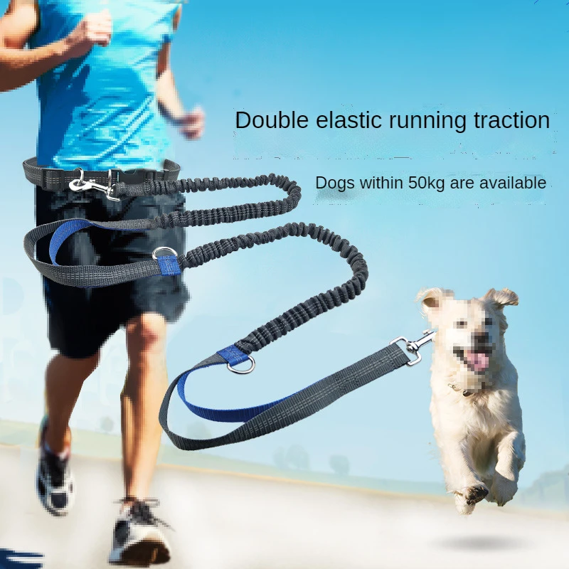 Pet Leash Portable Running Reflective Double Retractable Dog Leash Dogs Chain Leash Pet Supplies
Pet Leash Portable Running Reflective Double Retractable Dog Leash Dogs Chain Leash Pet Supplies