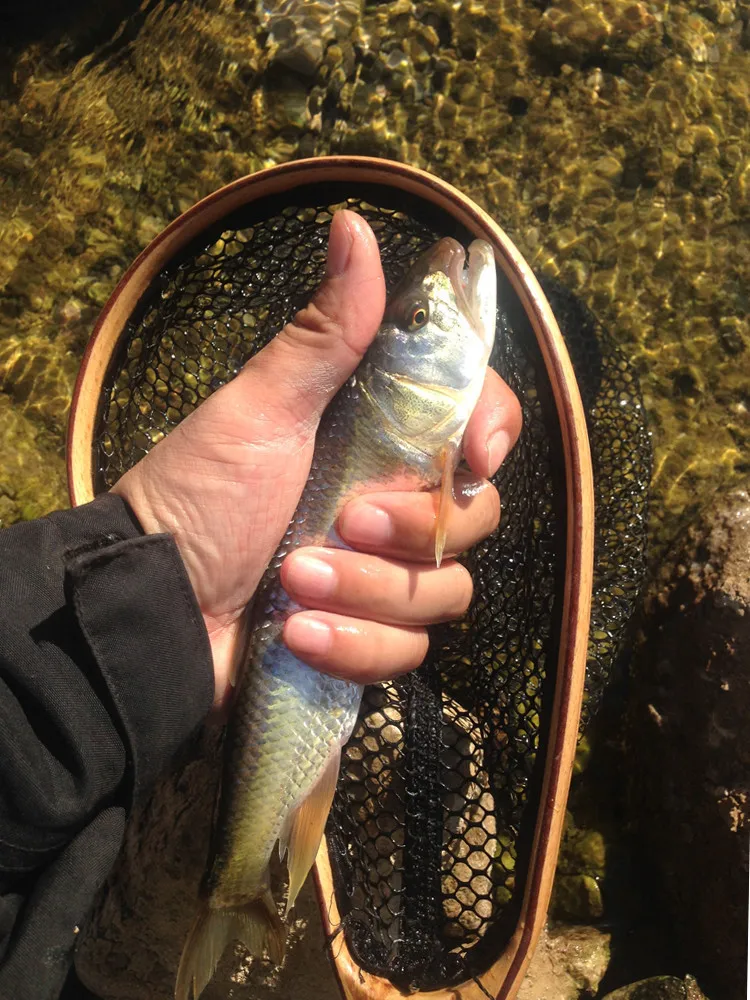Small Summer Lure Sequin White Tie Fishing Group Sunflower Seed Snakehead Rod Fly Help Cast Maker Lure Creek
Small Summer Lure Sequin White Tie Fishing Group Sunflower Seed Snakehead Rod Fly Help Cast Maker Lure Creek