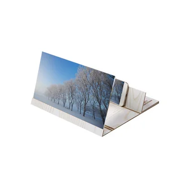 Universal 12in Wood Mobile Phone Screen Magnifier Bracket 3D Video Screen Display Amplifier Enlarge Stand Holder Eyes Protection
Universal 12in Wood Mobile Phone Screen Magnifier Bracket 3D Video Screen Display Amplifier Enlarge Stand Holder Eyes Protection