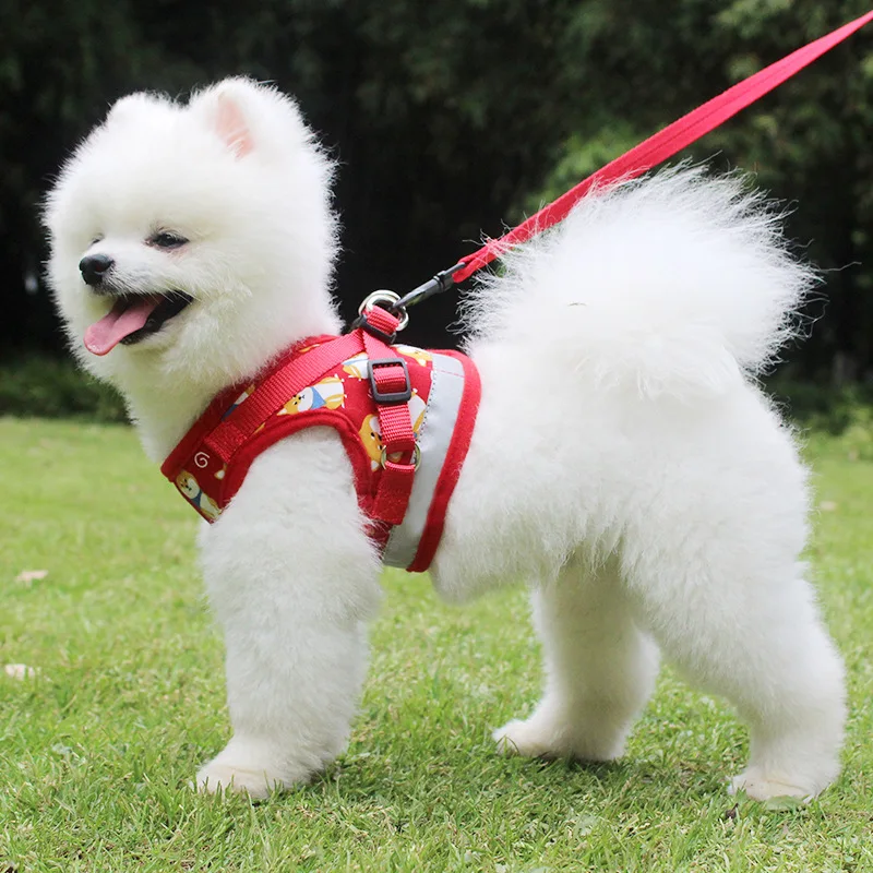 Фото Светоотражающая шлейка для собак жилет маленьких и средних с мультяшным