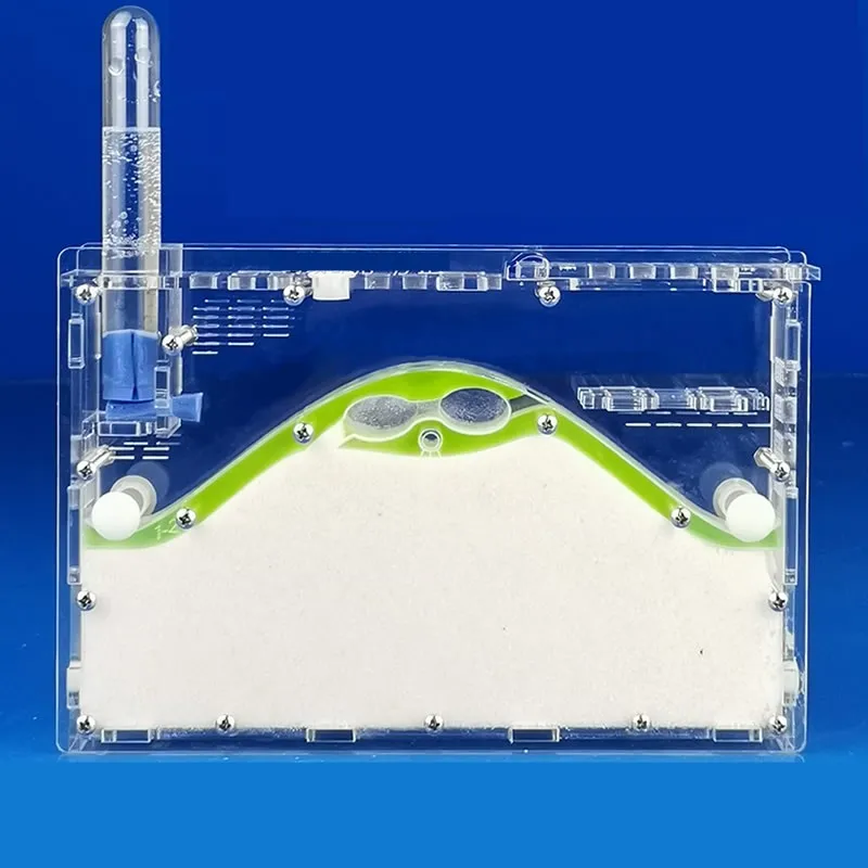 Acrylic Ant Dune Nest Gypsum Clear Ant Activity House Formicarium with Sand, Tube, Tweezer, Sponge Ant Farm
Acrylic Ant Dune Nest Gypsum Clear Ant Activity House Formicarium with Sand, Tube, Tweezer, Sponge Ant Farm
