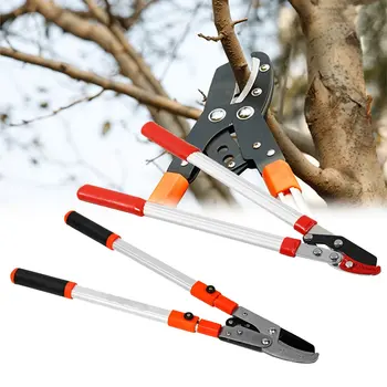 Garden Hand Tools Pruning Tools Telescopic Tree Ratchet Lopper Pruner Extending Garden Cutter Branch Shear Tools
Garden Hand Tools Pruning Tools Telescopic Tree Ratchet Lopper Pruner Extending Garden Cutter Branch Shear Tools
