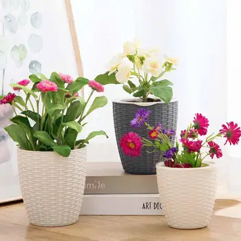 Mini Lazy Flower Pot Plastic Succulent Plant Pots Watering Garden Pots Planters With Cotton Rope Home Decoration
Mini Lazy Flower Pot Plastic Succulent Plant Pots Watering Garden Pots Planters With Cotton Rope Home Decoration