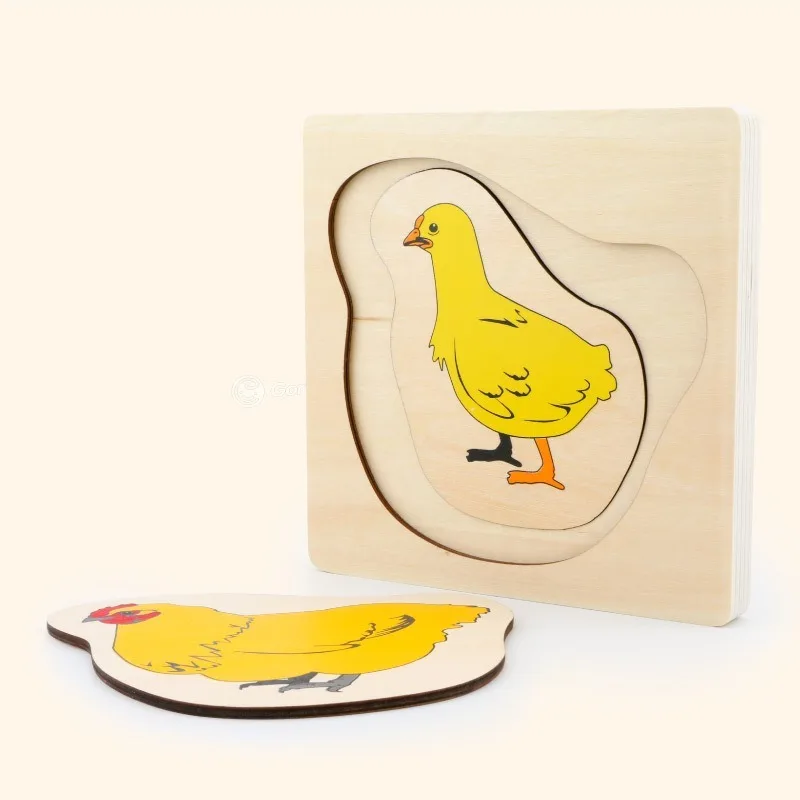 3D Children Body Growth Cognition Process Early Educational Multilayer Puzzle Toys for Kid Learning Animals Wooden Toys Gift
3D Children Body Growth Cognition Process Early Educational Multilayer Puzzle Toys for Kid Learning Animals Wooden Toys Gift