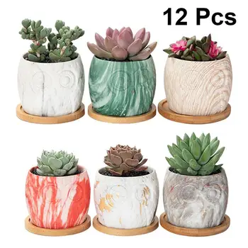 1 Set 12Pcs Fashion Owl Flower Pot Plant Pot Pattern Creative Durable Flower Pots Plant Pots Fleshiness Pots Ceramics Planter
1 Set 12Pcs Fashion Owl Flower Pot Plant Pot Pattern Creative Durable Flower Pots Plant Pots Fleshiness Pots Ceramics Planter