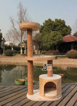 Cary Catry Cat Climbing Frame Rushes + Lambs Wool Hy3381
Cary Catry Cat Climbing Frame Rushes + Lambs Wool Hy3381