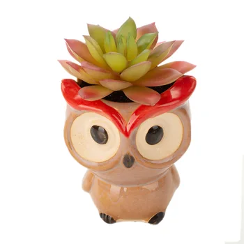 Artificial Plant Mini Succulent Artificial Flower Potted Plant Ceramic Small Bonsai Desktop Home Office Green Vegetation Decorat
Artificial Plant Mini Succulent Artificial Flower Potted Plant Ceramic Small Bonsai Desktop Home Office Green Vegetation Decorat