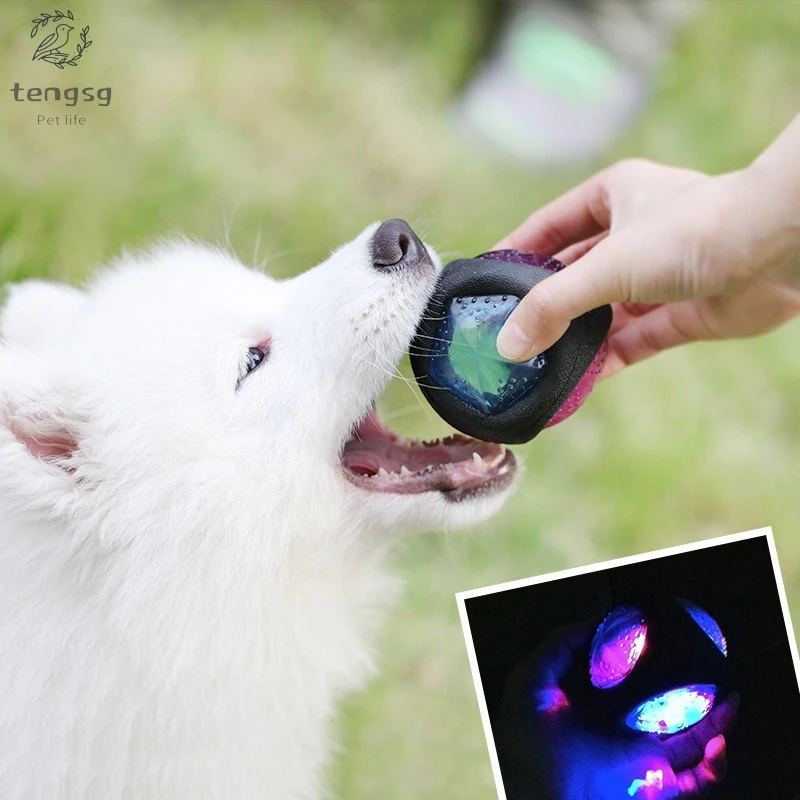 Funny Sound Ball Dog Bite Resistant Ball Sound Molar Training Elastic Luminous Ball Pet Interactive Educational Toy
Funny Sound Ball Dog Bite Resistant Ball Sound Molar Training Elastic Luminous Ball Pet Interactive Educational Toy