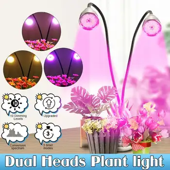 Full Spectrum Phytolamps 100W Auto ON Off Timing Function LED Grow Lights Upgraded Grow Lamp Plant Lamp with Flexible Gooseneck
Full Spectrum Phytolamps 100W Auto ON Off Timing Function LED Grow Lights Upgraded Grow Lamp Plant Lamp with Flexible Gooseneck