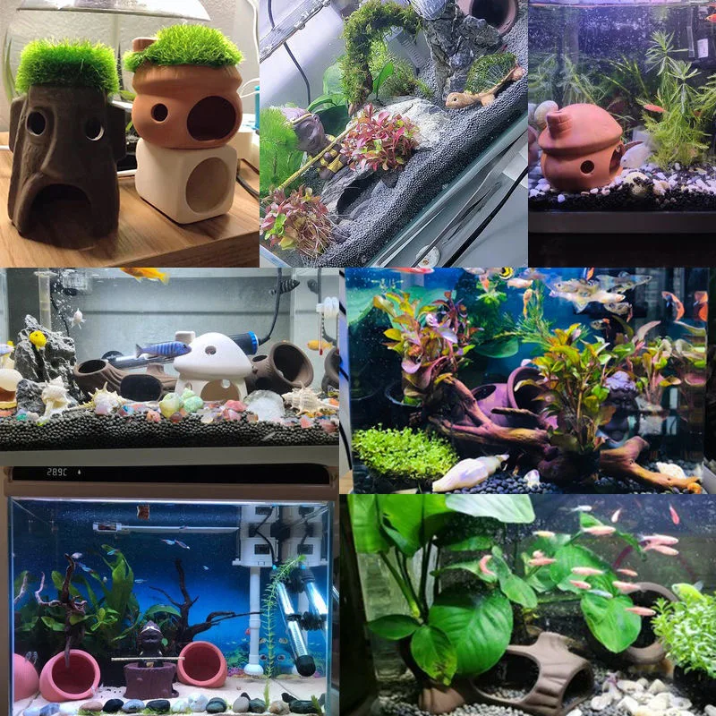 Hef078e7ff0504c0c97bafc92937b33468