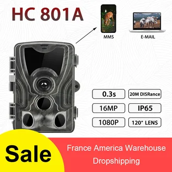 Trail Hunting Camera HC-801A 16MP 1080P IP65 Night Version Scouting Camera 0.3s Trigger Time Hunting Surveillance Cams
Trail Hunting Camera HC-801A 16MP 1080P IP65 Night Version Scouting Camera 0.3s Trigger Time Hunting Surveillance Cams