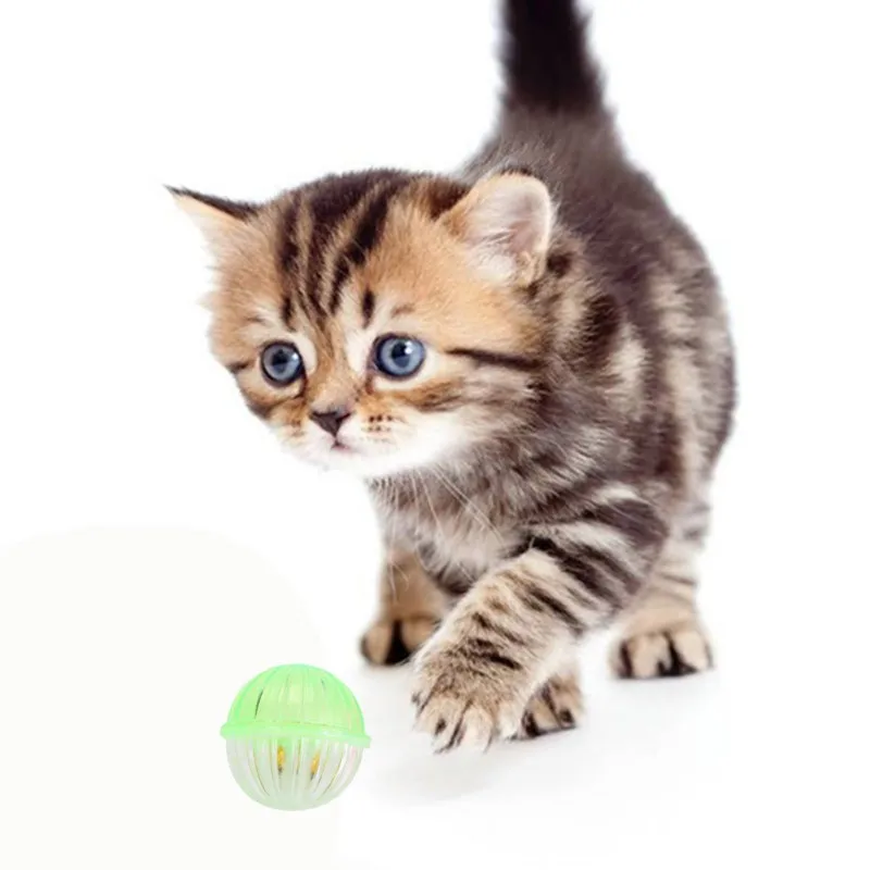 114 Pcs/lot Pet Interactive Plastic Bell Ball Toy Cat Scratch-resistant Exercise Playing Multicolor Ball Toy Set 1
114 Pcs/lot Pet Interactive Plastic Bell Ball Toy Cat Scratch-resistant Exercise Playing Multicolor Ball Toy Set 1