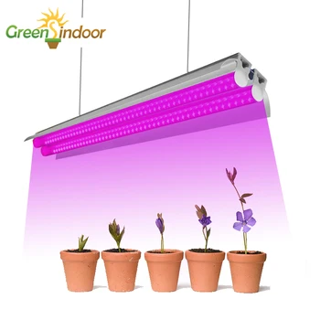 Full Spectrum LED Grow Light Strips Phyto Lamp For Plants Led Lights For Indoor Growing Flower Flowering Growth Lamp For Plant
Full Spectrum LED Grow Light Strips Phyto Lamp For Plants Led Lights For Indoor Growing Flower Flowering Growth Lamp For Plant
