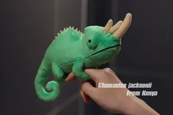 Jackson Chameleon Doll Chameleon Plush Toy Simulation Amphibian Plush Toy 19cm
Jackson Chameleon Doll Chameleon Plush Toy Simulation Amphibian Plush Toy 19cm