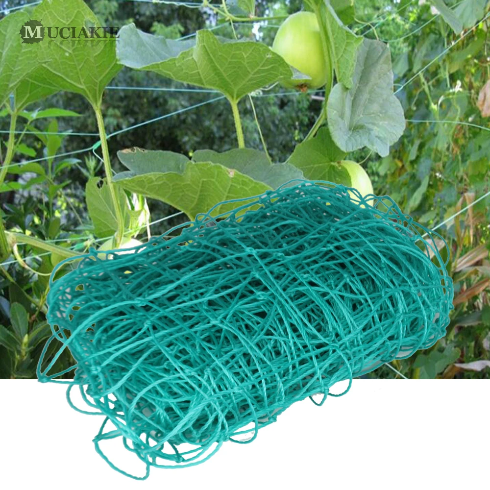 Garden Vegetable Fruit Climbing Plant Support Netting Mesh 10x10cm Vertical Clematis Climber Trellis Netting Cucumber Garden Net
Garden Vegetable Fruit Climbing Plant Support Netting Mesh 10x10cm Vertical Clematis Climber Trellis Netting Cucumber Garden Net