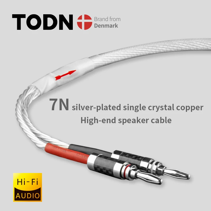

TODN One Pair HIFI Silver-plated Speaker Cable High-end 7N OCC Speaker Wire For Hi-fi Systems Y Plug Banana plug Speaker Cable